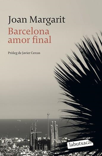 BARCELONA AMOR FINAL | 9788499309644 | MARGARIT, JOAN | Llibreria Aqualata | Comprar libros en catalán y castellano online | Comprar libros Igualada