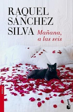 MAÑANA, A LAS SEIS | 9788408140498 | SÁNCHEZ SILVA, RAQUEL  | Llibreria Aqualata | Comprar libros en catalán y castellano online | Comprar libros Igualada