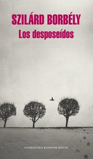 DESPOSEÍDOS, LOS | 9788439730194 | SZILÁRD, BORBÉLY | Llibreria Aqualata | Comprar llibres en català i castellà online | Comprar llibres Igualada