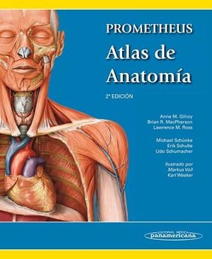 PROMETHEUS. ATLAS DE ANATOMÍA | 9788498357080 | M. GILROY, ANNE/R. MACPHERSON, BRIAN/M. ROSS, LAWRENCE | Llibreria Aqualata | Comprar libros en catalán y castellano online | Comprar libros Igualada