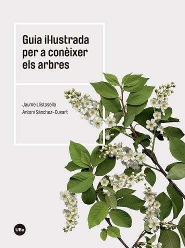 GUIA IL·LUSTRADA PER A CONÈIXER ELS ARBRES | 9788447542444 | LLISTOSELLA VIDAL, JAUME / SÀNCHEZ CUXART, ANTONI | Llibreria Aqualata | Comprar libros en catalán y castellano online | Comprar libros Igualada