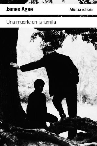 UNA MUERTE EN LA FAMILIA | 9788491041269 | AGEE, JAMES | Llibreria Aqualata | Comprar libros en catalán y castellano online | Comprar libros Igualada