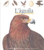 AGUILA, L` (MON MERAVELLOS 26) | 9788476298220 | Llibreria Aqualata | Comprar libros en catalán y castellano online | Comprar libros Igualada