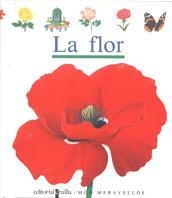 FLOR, LA (MON MERAVELLOS 8) | 9788476295953 | Llibreria Aqualata | Comprar libros en catalán y castellano online | Comprar libros Igualada