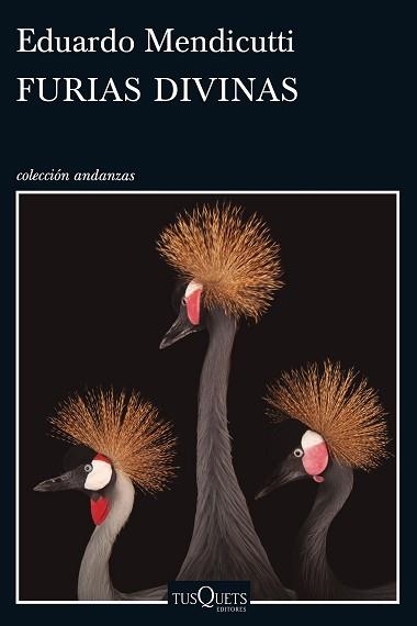 FURIAS DIVINAS | 9788490662465 | MENDICUTTI, EDUARDO | Llibreria Aqualata | Comprar libros en catalán y castellano online | Comprar libros Igualada