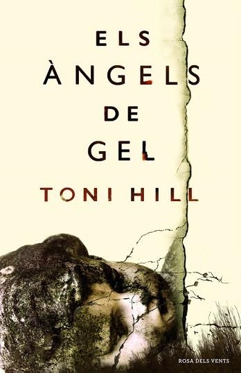 ÀNGELS DE GEL, ELS | 9788416430154 | HILL, TONI | Llibreria Aqualata | Comprar llibres en català i castellà online | Comprar llibres Igualada