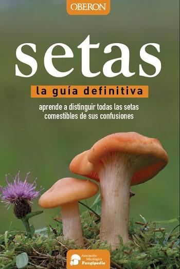 SETAS | 9788441537842 | CALVO PÉREZ, AITOR/CALVO PÉREZ, JAVIER/ROMÁN ECHEVARRÍA, JUAN ANDRÉS/IBARRETXE IRAGORRI, RICARDO | Llibreria Aqualata | Comprar libros en catalán y castellano online | Comprar libros Igualada