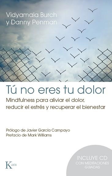 TÚ NO ERES TU DOLOR | 9788499884912 | BURCH, VIDYAMALA / PENMAN, DANNY | Llibreria Aqualata | Comprar libros en catalán y castellano online | Comprar libros Igualada