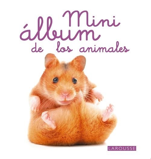 MINI ÁLBUM LAROUSSE DE LOS ANIMALES | 9788480169974 | Llibreria Aqualata | Comprar libros en catalán y castellano online | Comprar libros Igualada