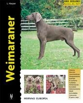 WEIMARANER | 9788425513985 | HARPER, LAVONIA | Llibreria Aqualata | Comprar libros en catalán y castellano online | Comprar libros Igualada