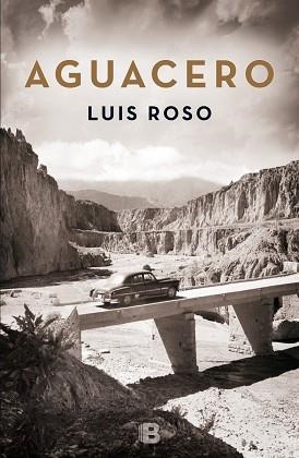 AGUACERO | 9788466659215 | ROSO, LUIS | Llibreria Aqualata | Comprar libros en catalán y castellano online | Comprar libros Igualada