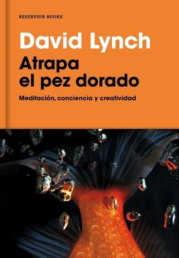 ATRAPA EL PEZ DORADO | 9788416709014 | LYNCH, DAVID | Llibreria Aqualata | Comprar libros en catalán y castellano online | Comprar libros Igualada