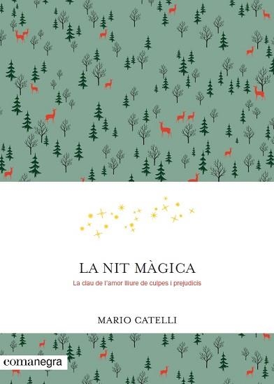 NIT MÀGICA, LA | 9788416605552 | CATELLI, MARIO | Llibreria Aqualata | Comprar libros en catalán y castellano online | Comprar libros Igualada