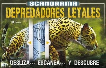 SCANORAMA. DEPREDADORES | 9788469606544 | CLAYBOURNE, ANNA | Llibreria Aqualata | Comprar llibres en català i castellà online | Comprar llibres Igualada