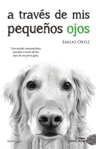 A TRAVÉS DE MIS PEQUEÑOS OJOS | 9788416634682 | ORTIZ PULIDO, EMILIO | Llibreria Aqualata | Comprar llibres en català i castellà online | Comprar llibres Igualada