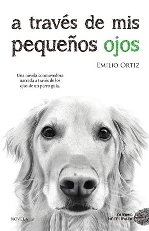 A TRAVÉS DE MIS PEQUEÑOS OJOS | 9788416634682 | ORTIZ PULIDO, EMILIO | Llibreria Aqualata | Comprar llibres en català i castellà online | Comprar llibres Igualada