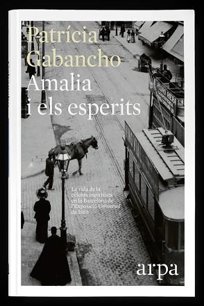 AMALIA I ELS ESPERITS | 9788416601318 | GABANCHO, PATRÍCIA | Llibreria Aqualata | Comprar libros en catalán y castellano online | Comprar libros Igualada