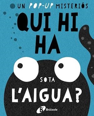 QUI HI HA SOTA L'AIGUA? | 9788499067667 | Llibreria Aqualata | Comprar llibres en català i castellà online | Comprar llibres Igualada
