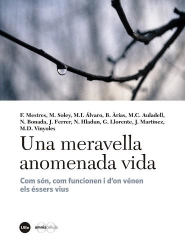 UNA MERAVELLA ANOMENADA VIDA. COM SÓN, COM FUNCIONEN I D?ON VÉNEN ELS ÉSSERS VIUS | 9788447540310 | VARIOS AUTORES | Llibreria Aqualata | Comprar libros en catalán y castellano online | Comprar libros Igualada