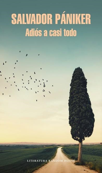 ADIÓS A CASI TODO (DIARIOS DE PÁNIKER 5) | 9788439732693 | PANIKER, SALVADOR | Llibreria Aqualata | Comprar libros en catalán y castellano online | Comprar libros Igualada