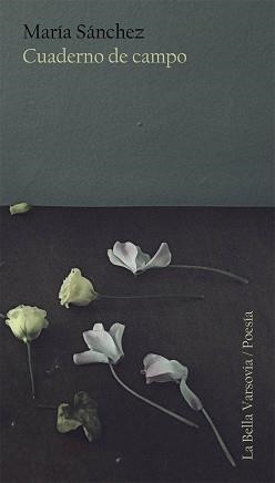 CUADERNO DE CAMPO | 9788494500763 | SÁNCHEZ RODRÍGUEZ, MARÍA | Llibreria Aqualata | Comprar llibres en català i castellà online | Comprar llibres Igualada