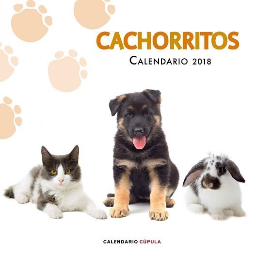 2018 CALENDARIO CACHORRITOS | 9788448023478 | AA. VV. | Llibreria Aqualata | Comprar llibres en català i castellà online | Comprar llibres Igualada