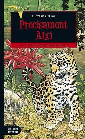 PRECISAMENT AIXÍ | 9788426144539 | KIPLING, RUDYARD | Llibreria Aqualata | Comprar llibres en català i castellà online | Comprar llibres Igualada