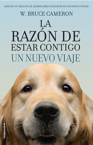 RAZÓN DE ESTAR CONTIGO, LA. UN NUEVO VIAJE | 9788416867912 | CAMERON, W. BRUCE | Llibreria Aqualata | Comprar libros en catalán y castellano online | Comprar libros Igualada