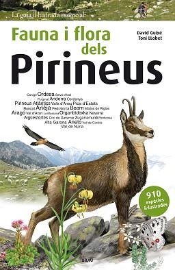 FAUNA I FLORA DELS PIRINEUS | 9788415885559 | GUIXÉ COROMINES, DAVID | Llibreria Aqualata | Comprar libros en catalán y castellano online | Comprar libros Igualada