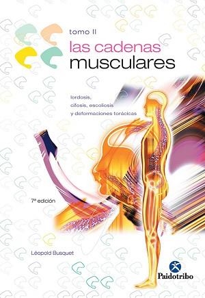 CADENAS MUSCULARES II, LAS | 9788480191715 | BUSQUET, LEOPOLD | Llibreria Aqualata | Comprar libros en catalán y castellano online | Comprar libros Igualada