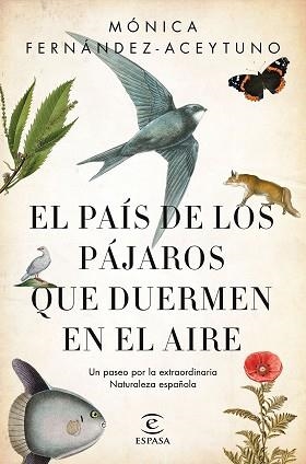 PAÍS DE LOS PÁJAROS QUE DUERMEN EN EL AIRE, EL | 9788467051469 | FERNÁNDEZ-ACEYTUNO SAÉNZ DE SANTA MARÍA, MÓNICA | Llibreria Aqualata | Comprar libros en catalán y castellano online | Comprar libros Igualada