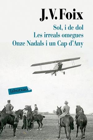 SOL, I DE DOL. LES IRREALS OMEGUES. ONZE NADALS I UN CAP D'ANY | 9788417031626 | FOIX I MAS, J. V. | Llibreria Aqualata | Comprar llibres en català i castellà online | Comprar llibres Igualada