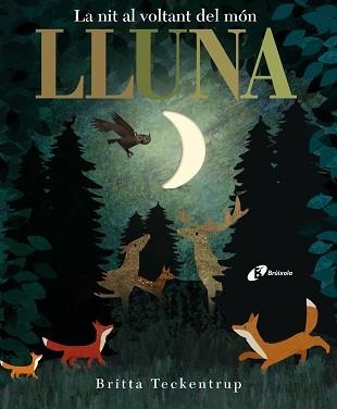 LLUNA | 9788499068497 | HEGARTY, PATRICIA | Llibreria Aqualata | Comprar libros en catalán y castellano online | Comprar libros Igualada