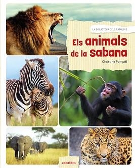 ANIMALS DE LA SABANA, ELS | 9788416844524 | POMPÉÏ, CHRISTINE | Llibreria Aqualata | Comprar llibres en català i castellà online | Comprar llibres Igualada
