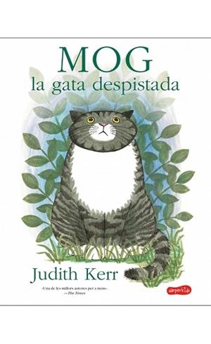 MOG, LA GATA DESPISTADA | 9788417222192 | KERR, JUDITH | Llibreria Aqualata | Comprar libros en catalán y castellano online | Comprar libros Igualada