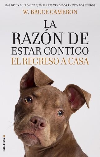 RAZÓN DE ESTAR CONTIGO, LA. EL REGRESO A CASA | 9788417092887 | CAMERON, W. BRUCE | Llibreria Aqualata | Comprar llibres en català i castellà online | Comprar llibres Igualada