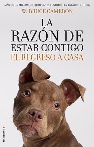 RAZÓN DE ESTAR CONTIGO, LA. EL REGRESO A CASA | 9788417092887 | CAMERON, W. BRUCE | Llibreria Aqualata | Comprar libros en catalán y castellano online | Comprar libros Igualada