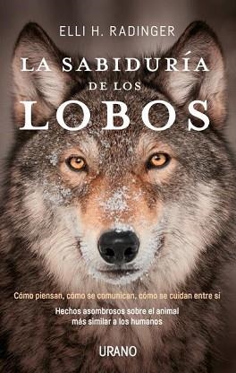 SABIDURÍA DE LOS LOBOS, LA | 9788416720262 | RADINGER, ELLI H. | Llibreria Aqualata | Comprar llibres en català i castellà online | Comprar llibres Igualada