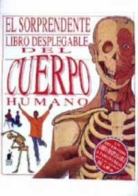 SORPRENDENTE LIBRO DESPLEGABLE DEL CUERPO HUMANO | 9788427241619 | Llibreria Aqualata | Comprar libros en catalán y castellano online | Comprar libros Igualada