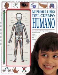 MI PRIMER LIBRO DEL CUERPO HUMANO | 9788427219281 | Llibreria Aqualata | Comprar libros en catalán y castellano online | Comprar libros Igualada