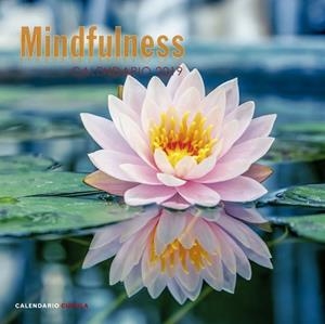 2019 CALENDARIO MINDFULNESS  | 9788448024598 | AA. VV. | Llibreria Aqualata | Comprar llibres en català i castellà online | Comprar llibres Igualada
