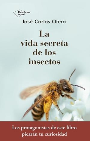 VIDA SECRETA DE LOS INSECTOS, LA | 9788417376789 | OTERO GONZÁLEZ, JOSÉ CARLOS | Llibreria Aqualata | Comprar libros en catalán y castellano online | Comprar libros Igualada