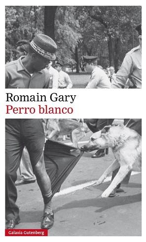 PERRO BLANCO | 9788417355586 | GARY, ROMAIN | Llibreria Aqualata | Comprar libros en catalán y castellano online | Comprar libros Igualada