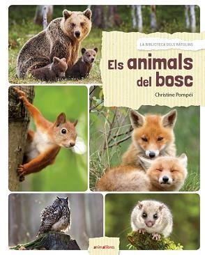 ANIMALS DEL BOSC, ELS | 9788417599027 | POMPEÏ, CHRISTINE | Llibreria Aqualata | Comprar libros en catalán y castellano online | Comprar libros Igualada