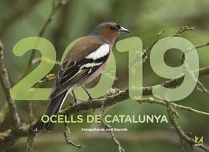 2019 CALENDARI OCELLS DE CATALUNYA | 9788409035465 | BAUCELLS, JORI | Llibreria Aqualata | Comprar libros en catalán y castellano online | Comprar libros Igualada