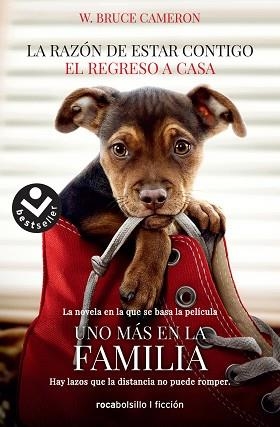 RAZÓN DE ESTAR CONTIGO. EL REGRESO A CASA, LA | 9788416859351 | CAMERON, W. BRUCE | Llibreria Aqualata | Comprar libros en catalán y castellano online | Comprar libros Igualada