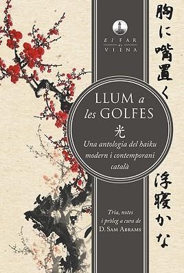 LLUM A LES GOLFES | 9788494906671 | ALCOVER, JOAN I ALTRES | Llibreria Aqualata | Comprar llibres en català i castellà online | Comprar llibres Igualada