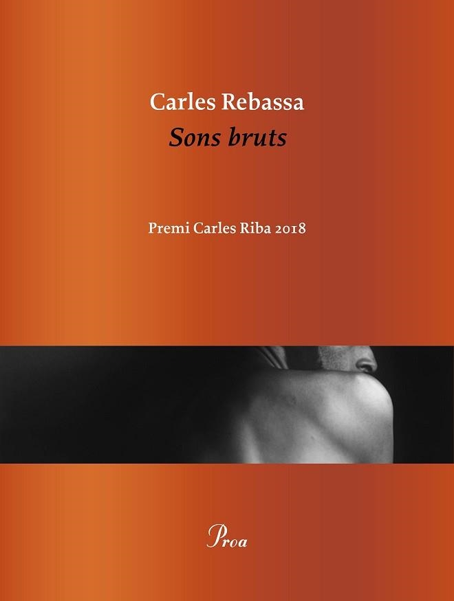 SONS BRUTS | 9788475887500 | REBASSA, CARLES | Llibreria Aqualata | Comprar llibres en català i castellà online | Comprar llibres Igualada