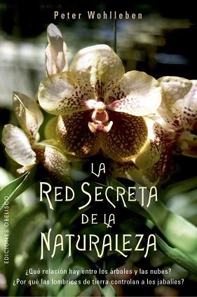 RED SECRETA DE LA NATURALEZA, LA | 9788491114192 | WOHLLEBEN, PETER | Llibreria Aqualata | Comprar libros en catalán y castellano online | Comprar libros Igualada