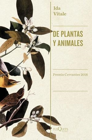 DE PLANTAS Y ANIMALES | 9788490666753 | VITALE, IDA | Llibreria Aqualata | Comprar libros en catalán y castellano online | Comprar libros Igualada